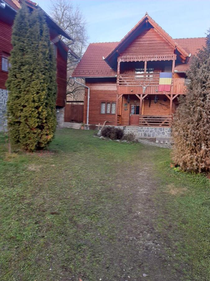 Pensiunea Codru Alsószolcsva Kültér fotó