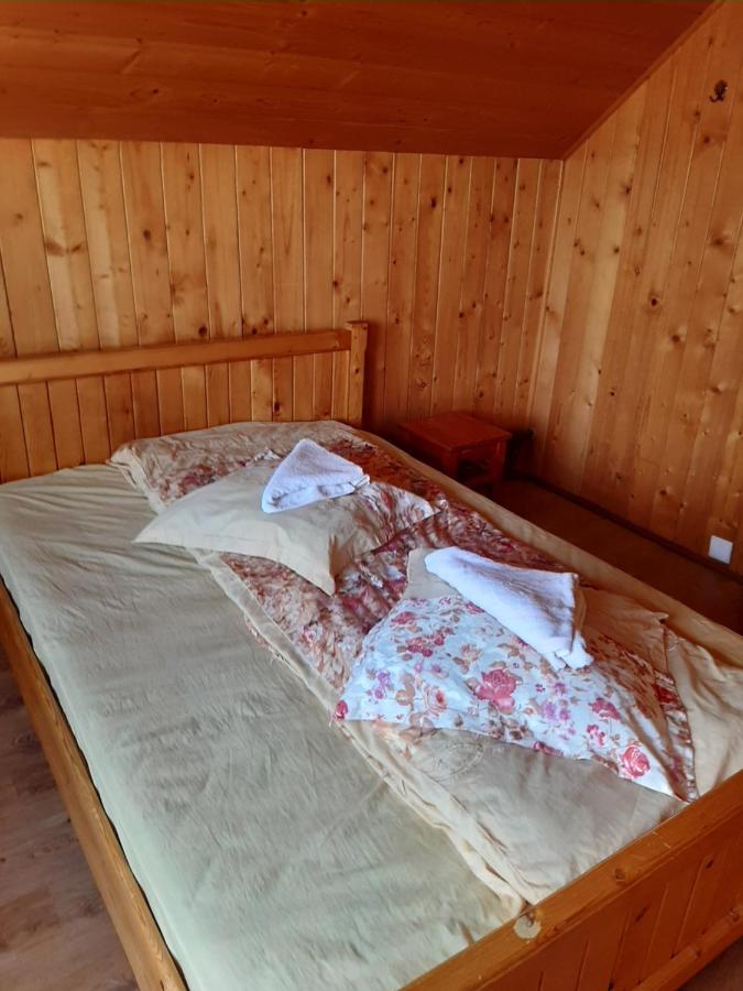 Pensiunea Codru Alsószolcsva Kültér fotó
